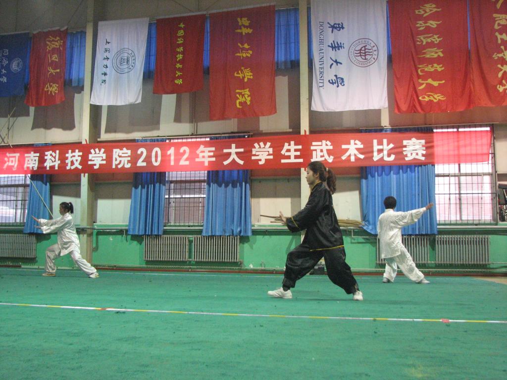 DG娱乐城(中国)唯一官方网站代表(着黑色服装)在太极拳比赛中的精彩表现
